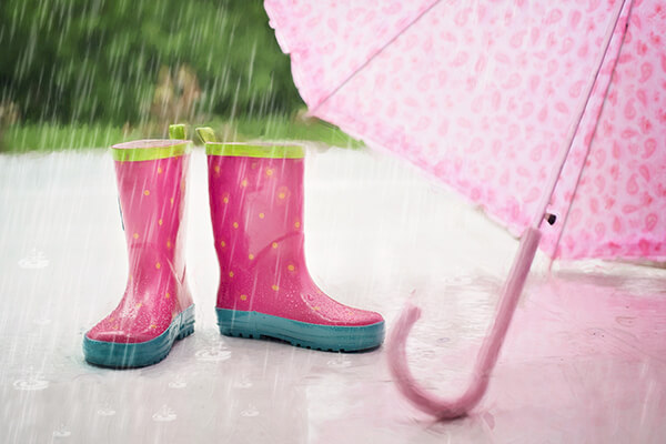 What to do with the family when it rains in South Devon