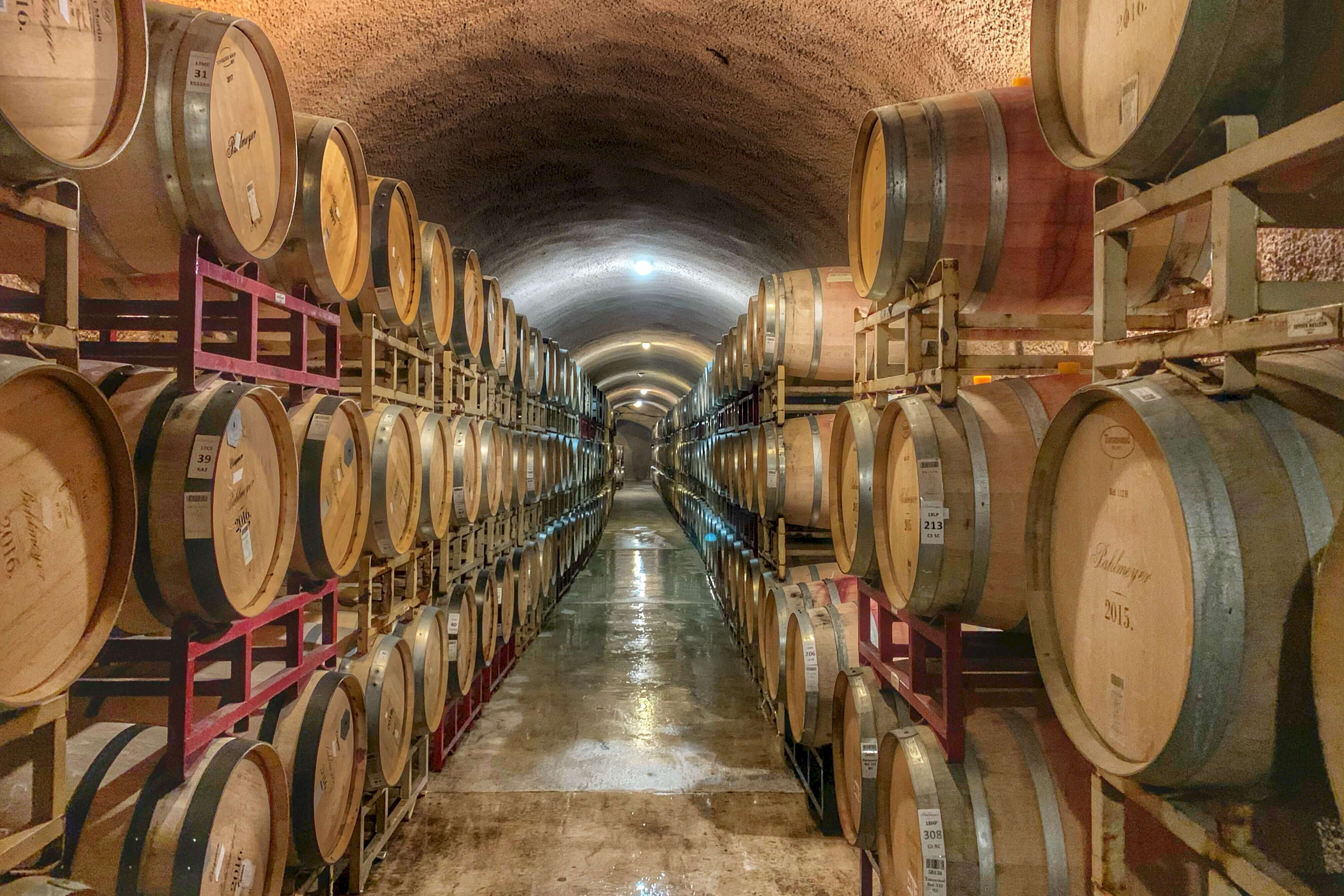 Thirsty? Raise a glass with these five South Devon breweries