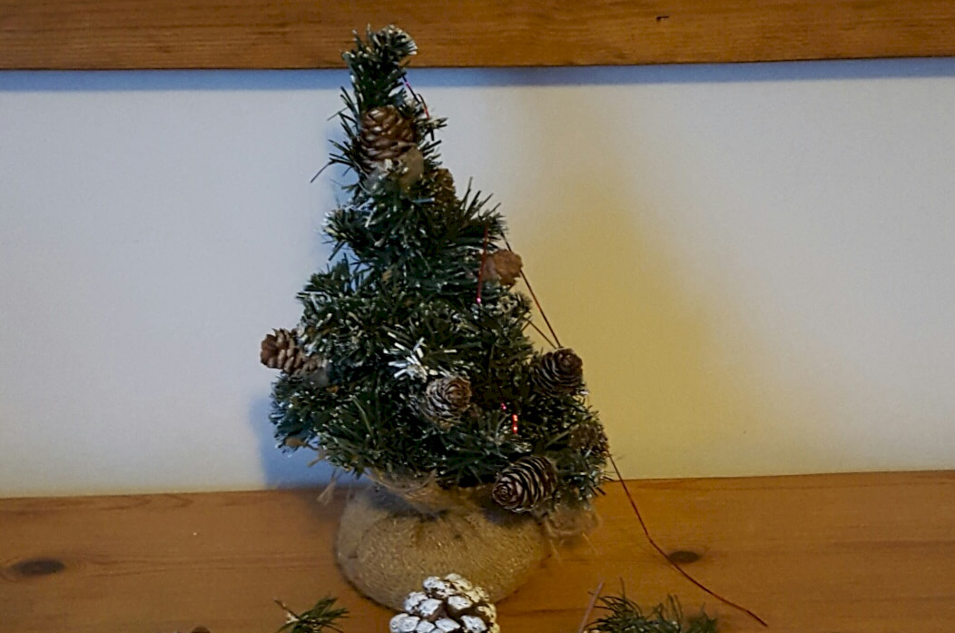 CHRISTMAS 25% DISCOUNT