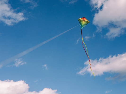 Let's go fly a kite!