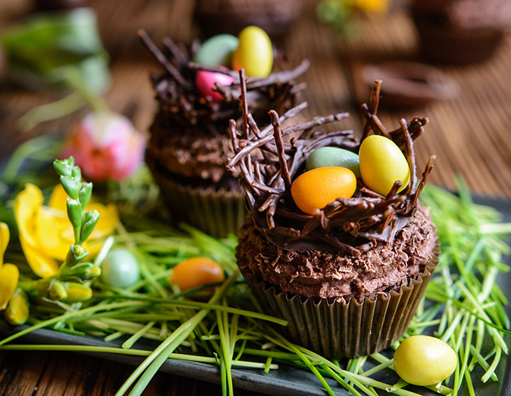 easter egg nests