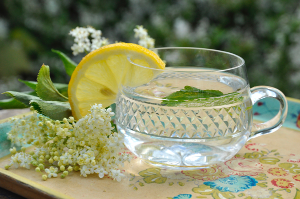 elderflower