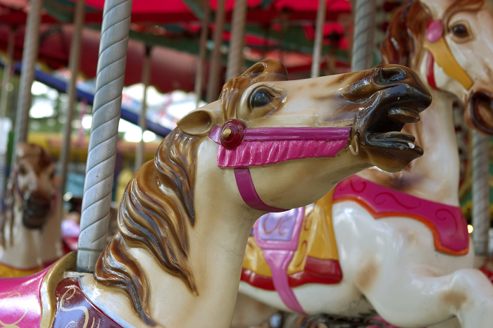 Things to do in South Devon - April 2016