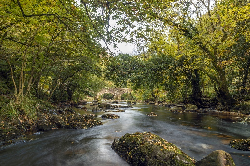 Dartmoor autumn breaks 